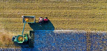 Idei de afaceri în agricultură: Care sunt cele mai profitabile culturi...