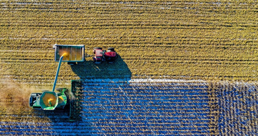 Idei de afaceri în agricultură: Care sunt cele mai profitabile culturi agricole din România