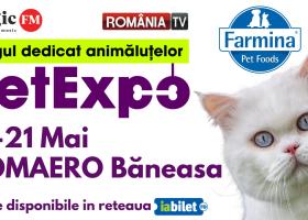PetExpo, cel mai important târg dedicat animalelor de companie, are loc între...