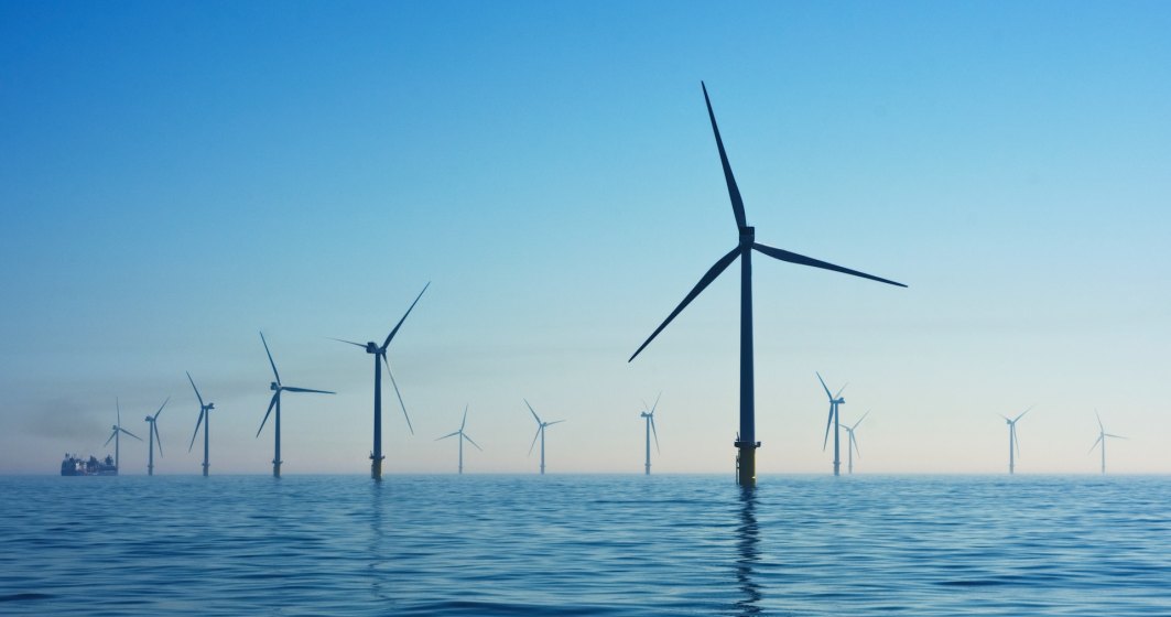 Energie verde, chiar dacă distrugem natura. Germania vrea să elimine autorizațiile mediu pentru parcurile eoliene offshore