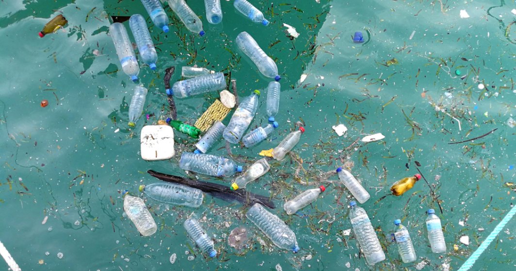Comisia Europeana analizeaza interzicerea ambalajelor din plastic