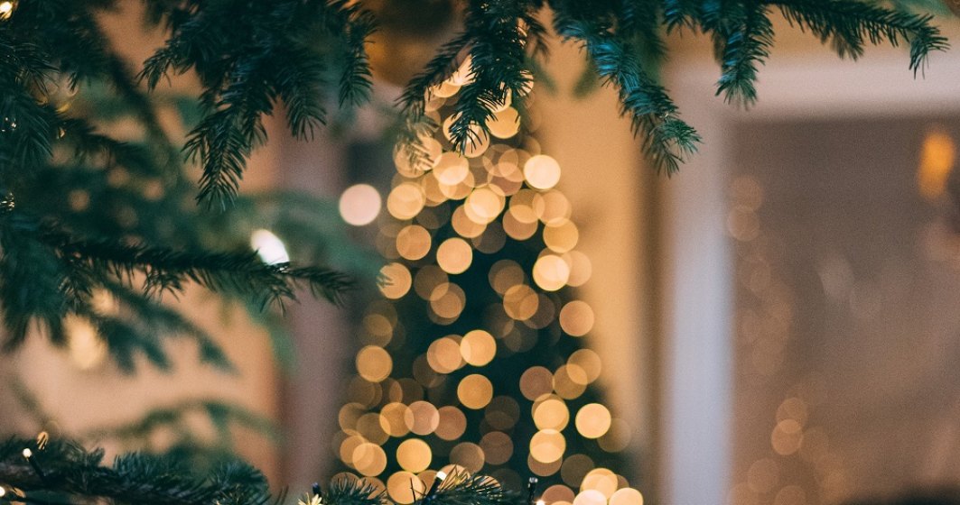 Cartierul Floreasca va avea propriul târg de Crăciun: Christmas Festival, un târg dedicat producătorilor locali și afacerilor din zonă