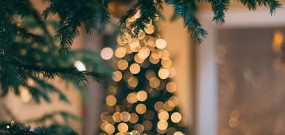 Cartierul Floreasca va avea propriul târg de Crăciun: Christmas Festival, un...