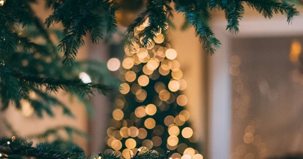 Cartierul Floreasca va avea propriul târg de Crăciun: Christmas Festival, un...