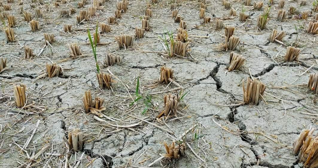Comisia Europeană: Europa a înregistrat cea mai gravă secetă din cel puțin ultimii 500 de ani