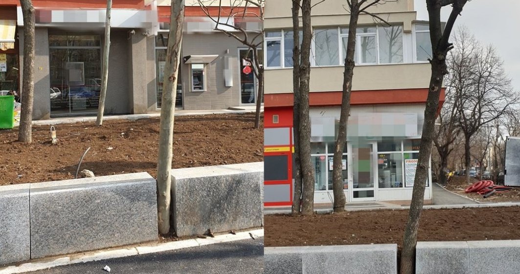 FOTO Arbori betonați sau prinși între borduri pe Șoseaua Giurgiului în cadrul lucrărilor de modernizare ale Primăriei Sectorului 4