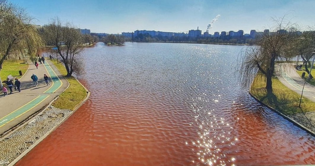 Fenomen bizar în parcul IOR din București. Apa este roșie