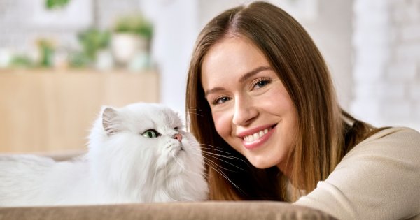 Hrană umedă pisici: ce trebuie să știi și câteva recomandări