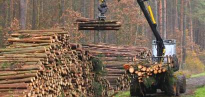Aproape 40.000 de metri cubi de material lemnos confiscati si 1.800 de...