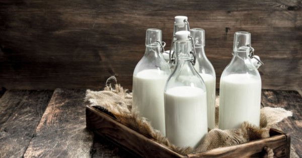 Guvernul vrea să forțeze ieftinirea laptelui, dar fermierii se plâng că nu au...