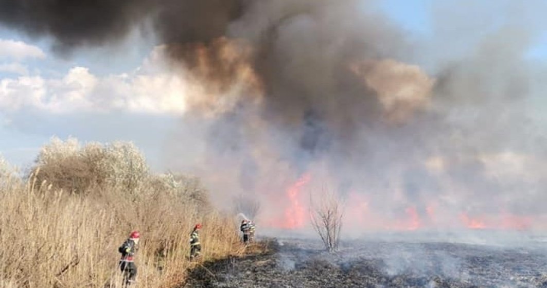 Cinci hectare de stuf au ars într-un sat din Tulcea