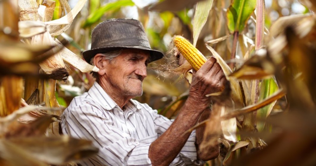 Agricultura cu fermieri de peste 60 de ani? Ce fac marile companii pentru a-i atrage pe tineri spre munca pamantului