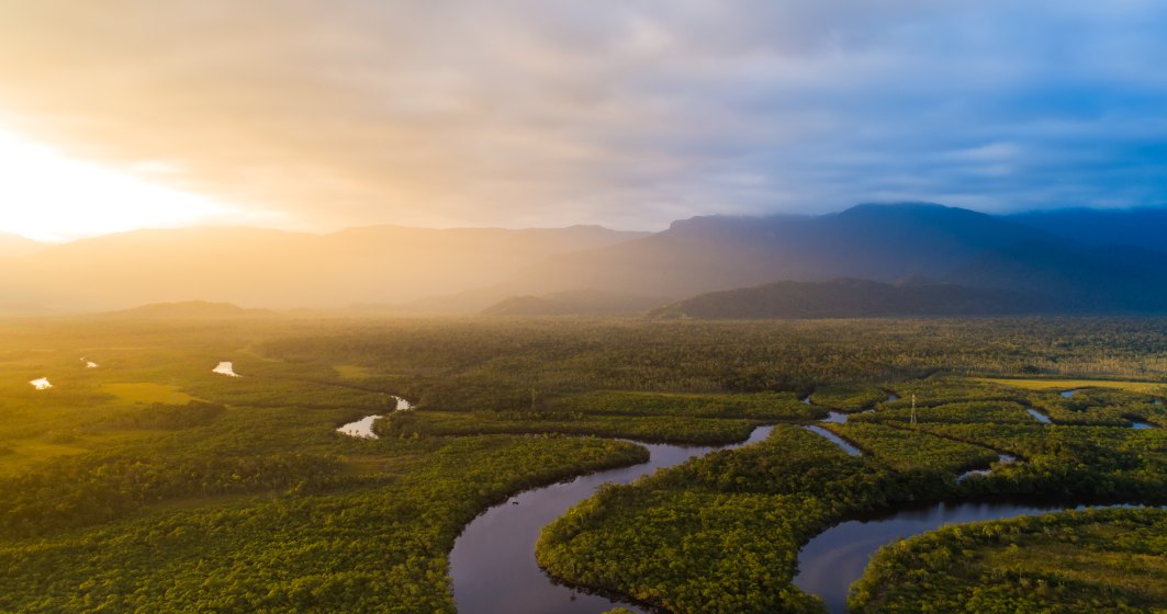 Defrişări record în Pădurea Amazoniană din Brazilia în luna mai