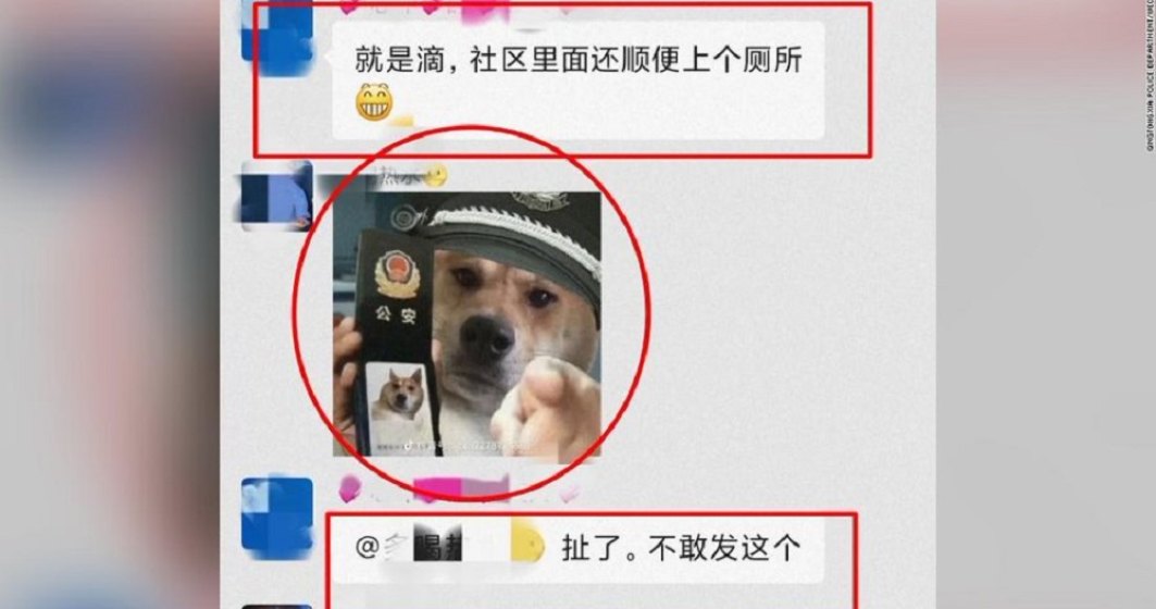 Un bărbat a fost reținut de poliția din China pentru o memă cu un câine cu o caschetă de polițist