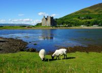Poza 4 pentru galeria foto Top 10 cele mai frumoase insule scoțiene de vizitat