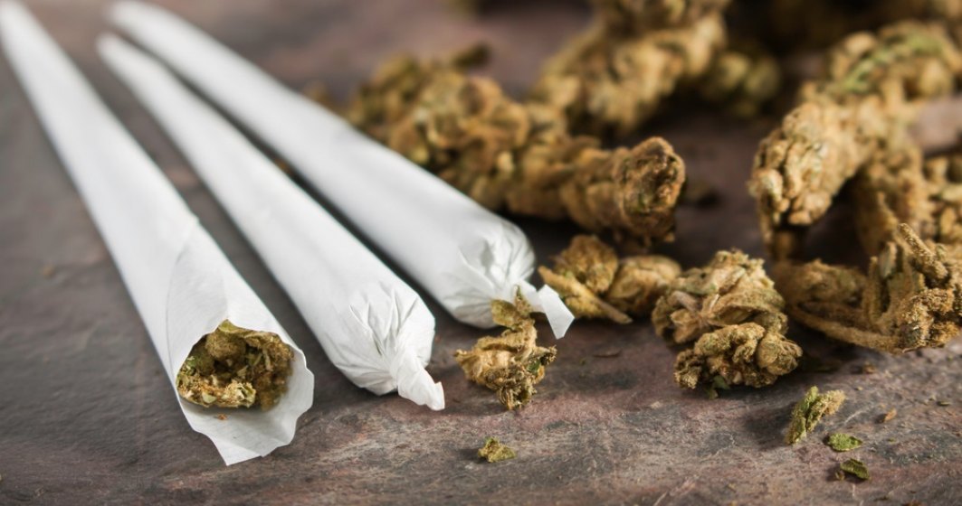DIICOT: Doua persoane din Capitala, prinse cu doua kilograme cannabis