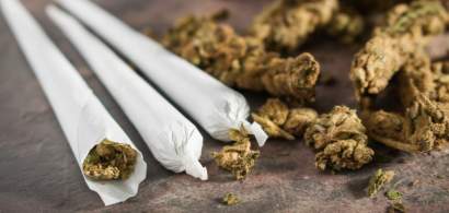 DIICOT: Doua persoane din Capitala, prinse cu doua kilograme cannabis