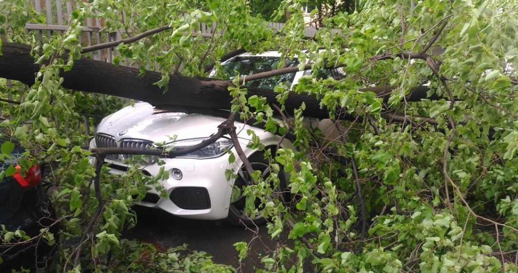 Sector 5: Proprietarii de autovehicule avariate de copaci căzuţi pe domeniul public vor fi despăgubiţi