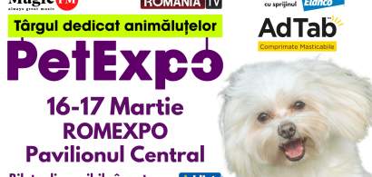 PetExpo, cel mai important târg dedicat animalelor de companie, are loc pe 16...