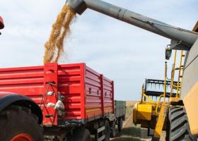 Miniștrii agriculturii din CEE au cerut stabilizarea situației importului de...