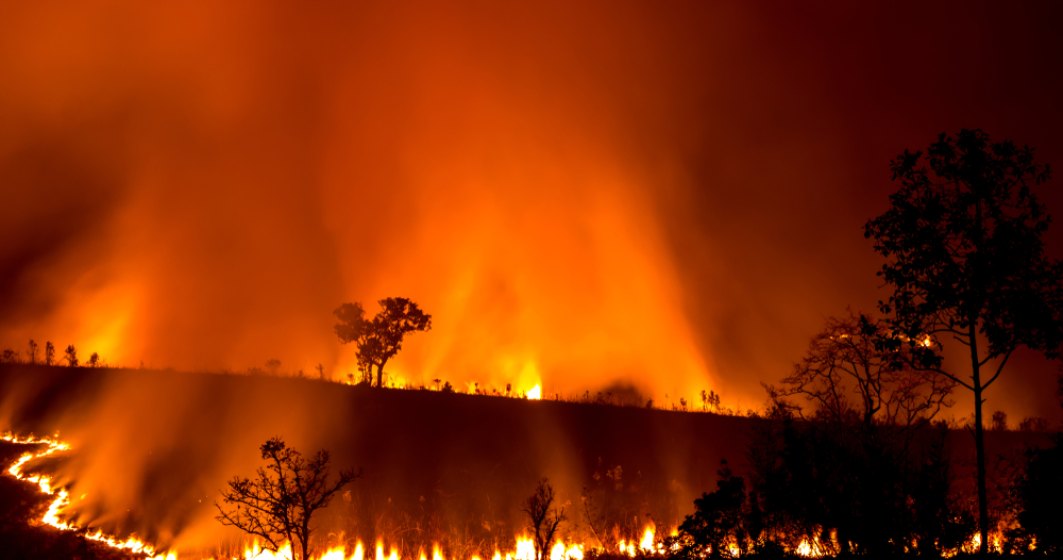Dezastru in Australia: Incendiile devasteaza sud-estul tarii, mai multe orase vor fi evacuate