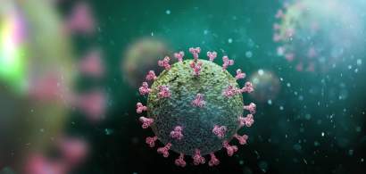 A fost descoperită o variantă foarte contagioasă a virusului SARS-CoV-2
