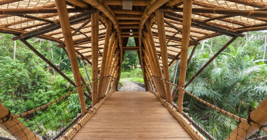 Povestea designerului care a părăsit New York-ul pentru a constui cele mai înalte și luxoase conace din bambus în Bali