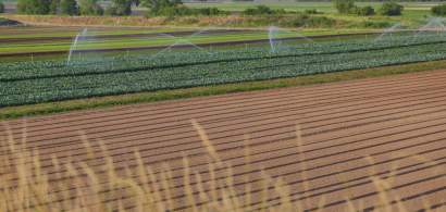 Ministerul Agriculturii: Infrastructura de irigaţii este pregătită pentru...
