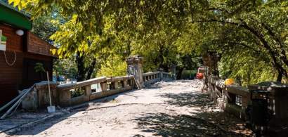 Horia Constantinescu, ANPC: 90% dintre parcurile din Capitală sunt ca parcul...