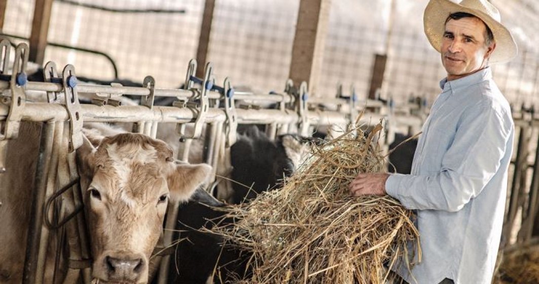 Danone România crește numărul fermierilor locali și dublează producția de lapte în programul „O șansă pentru familia ta”