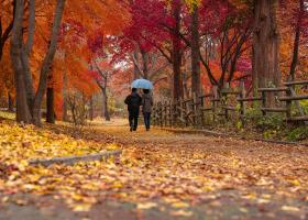 Prognoză ANM: Cum va fi vremea în țară, în luna octombrie