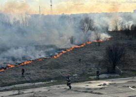 Incendiu de vegetație în Delta Văcărești. Vântul crește riscul de extindere