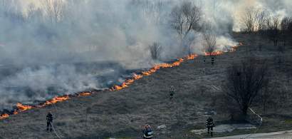 Incendiu de vegetație în Delta Văcărești. Vântul crește riscul de extindere