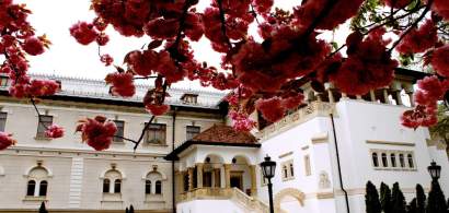 INTERVIU despre Palatul Cotroceni: Cum arata locul de unde este condusa Romania