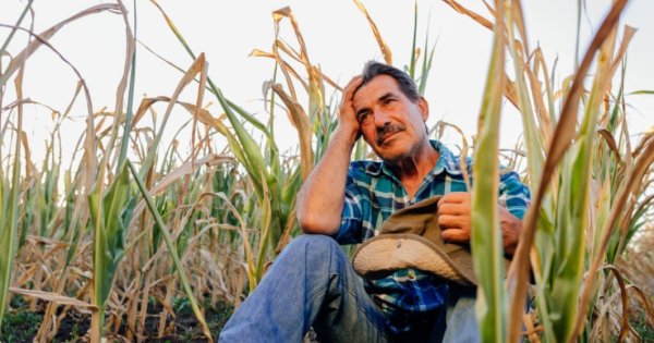 Paradoxul românesc: de la 1 noiembrie se măresc salariile în agricultură, dar...