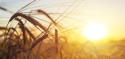 Agricultură pe bursă: Top Seeds se listează anul viitor pe AeRO