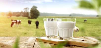 Piata de lactate din Romania: cum au evoluat afacerile primilor 10 mari...