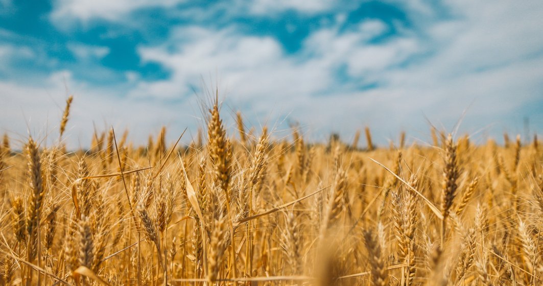 Cotinuă problemele pentru agricultură: secetă și prețuri mici la materia primă. Situația se reflectă direct în veniturile Agroland