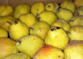Imagine: ANPC a amendat Mega Image fiindcă a etichetat ca românești fructele din import