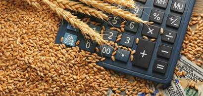 Comisia Europeană estimează producții mult mai mici la grâu, dar nu și o...