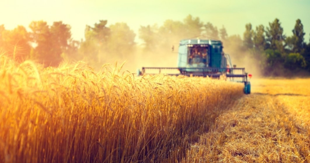 Bursa cerealelor: Cum au evoluat preturile la poarta fermei inainte de inceperea recoltarii din 2018