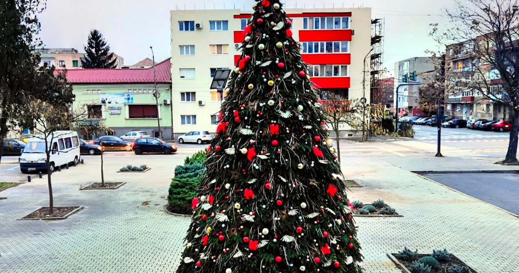 Consiliul Județean Arad a montat un brad de Crăciun ecologic