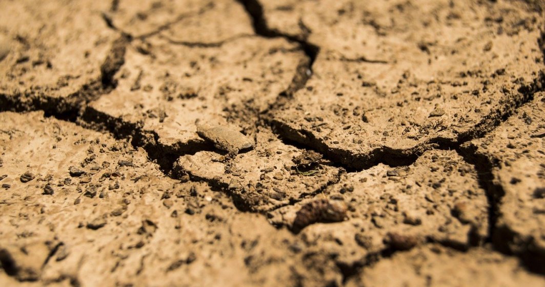 Cehia se confruntă cu cea mai severă secetă din ultimii 500 de ani