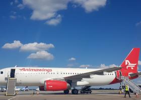 Imagine: AnimaWings lansează un nou zbor București - Stockholm. Când se va putea zbura...