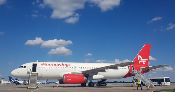 AnimaWings lansează un nou zbor București - Stockholm. Când se va putea zbura...