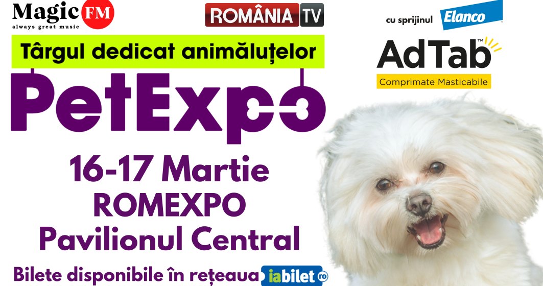 Show de modă canină, concurs de pești exotici, prezentare de rase canine românești la Pet Expo!