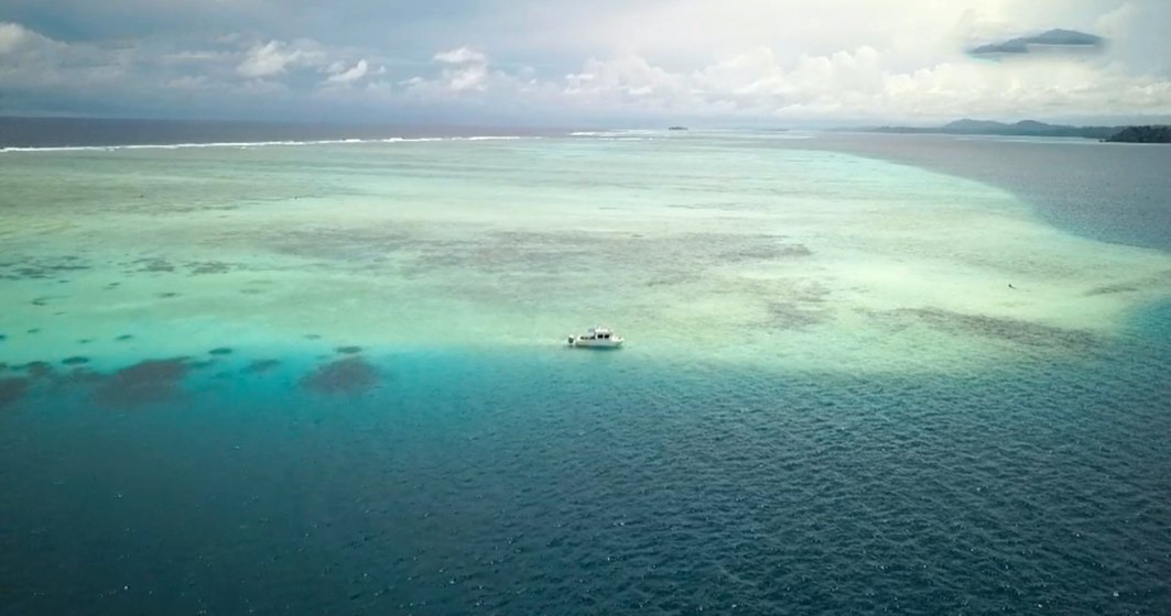 VIDEO - Prima insulă care a dispărut din cauza încălzirii globale