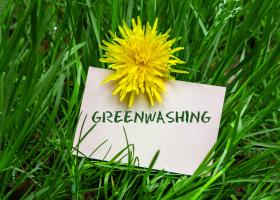 Ce înseamnă ”greenwashing” și care sunt consecințele pentru companii:...