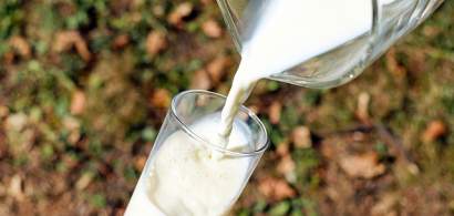 Lactalis, acuzat de Guvernul Frantei ca nu a gestionat criza laptelui...