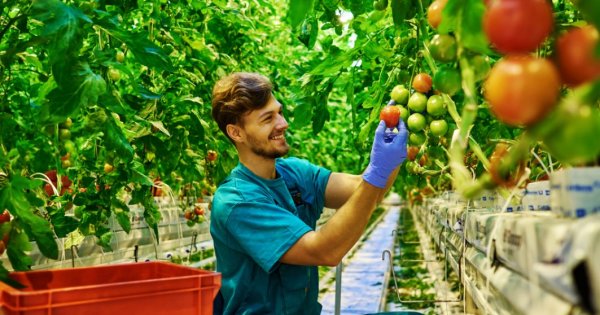 Afaceri agricultură: OPT afaceri pe care le poți începe cu 10.000 euro